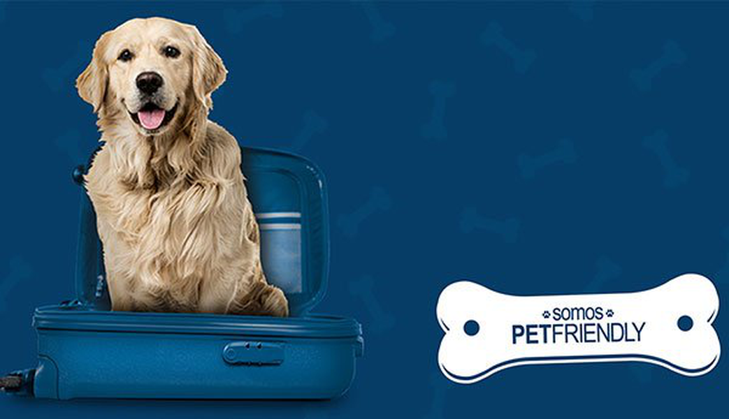 ¿quieres viajar con tu mascota? Hotel ILUNION Pío XII Madrid